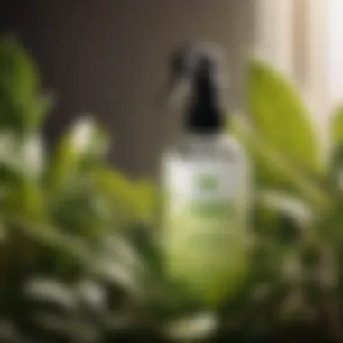 Natural Plant-Based Pest Spray