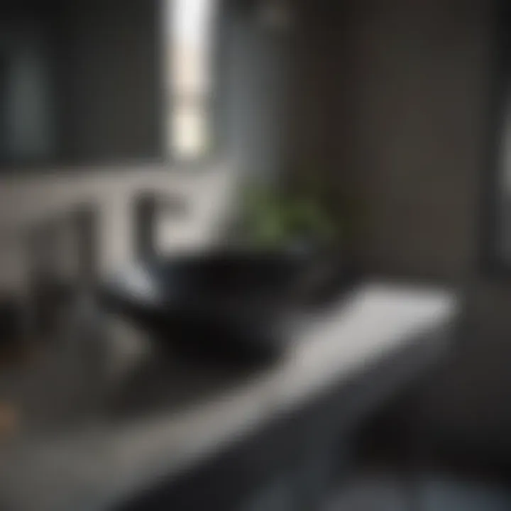 Sophisticated Black Sink Fixture Sophisticated black sink fixture in a modern bathroom