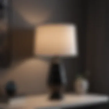 Minimalist Black and White Table Lamp