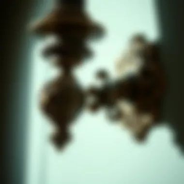 Close-up of intricate details on a bronze bathroom sconce