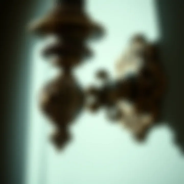 Close-up of intricate details on a bronze bathroom sconce