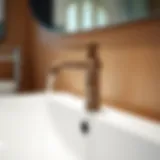 Sophisticated Design of Bronze Bathroom Faucet Elegant bronze faucet with sprayer in a modern bathroom