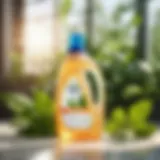 Sustainable Detergent Bottle Amidst Nature Eco-friendly detergent bottle with plant leaves