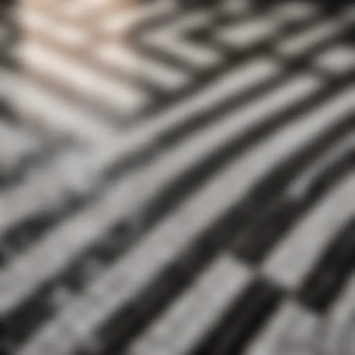 Close-up of intricate black and white mosaic tile design