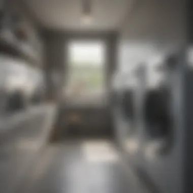 Technology in Laundry Service Scheduling A user-friendly app interface for scheduling laundry pick up