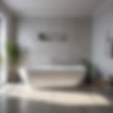 Understanding Dimensions and Spatial Integration Detailed visualization of bathtub dimensions and spatial integration