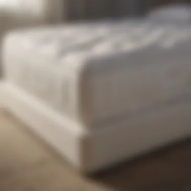 Comfort Dynamics of Separate Mattresses Close-up of separate mattresses on a king bed demonstrating comfort and design