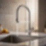 Elegant kitchen faucet design