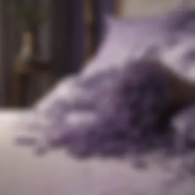 Diverse Lavender Color Palette for Design Lavender color palette showcasing various shades