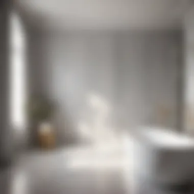Elegance in Light Grey Bathroom Paint Elegant Light Grey Bathroom Paint