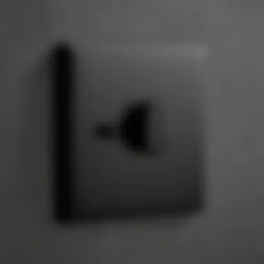 Close-up view of a matt black light switch and its sleek finish