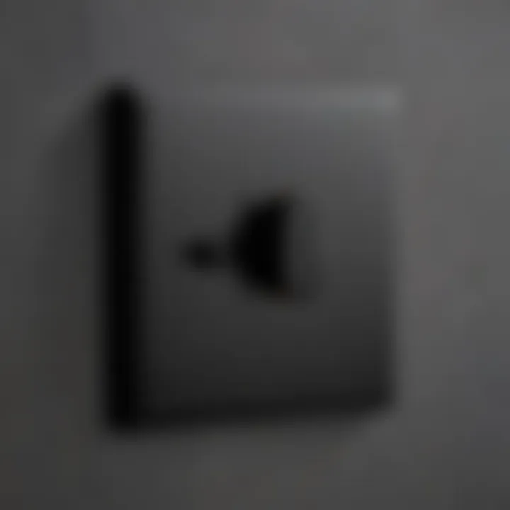 Close-up view of a matt black light switch and its sleek finish