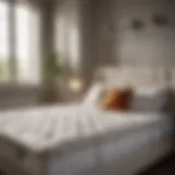 Showroom showcasing a variety of mattresses