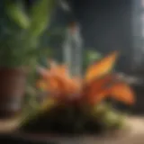 Botanical Extracts