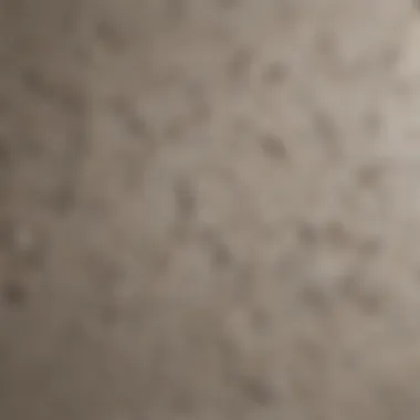 Close-up of textured wall paint in muted shades