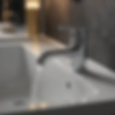 Diverse Faucet Styles and Functions Variety of faucet styles illustrating functional options