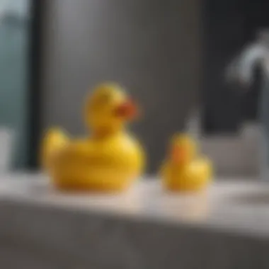 Rubber Ducks in Contemporary Design Contemporary bathroom featuring rubber duck accessories as decor