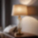 Elegant Curved Lamp Elegant Curved Lamp