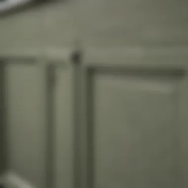 Close-up of sage green cabinet finish showcasing texture