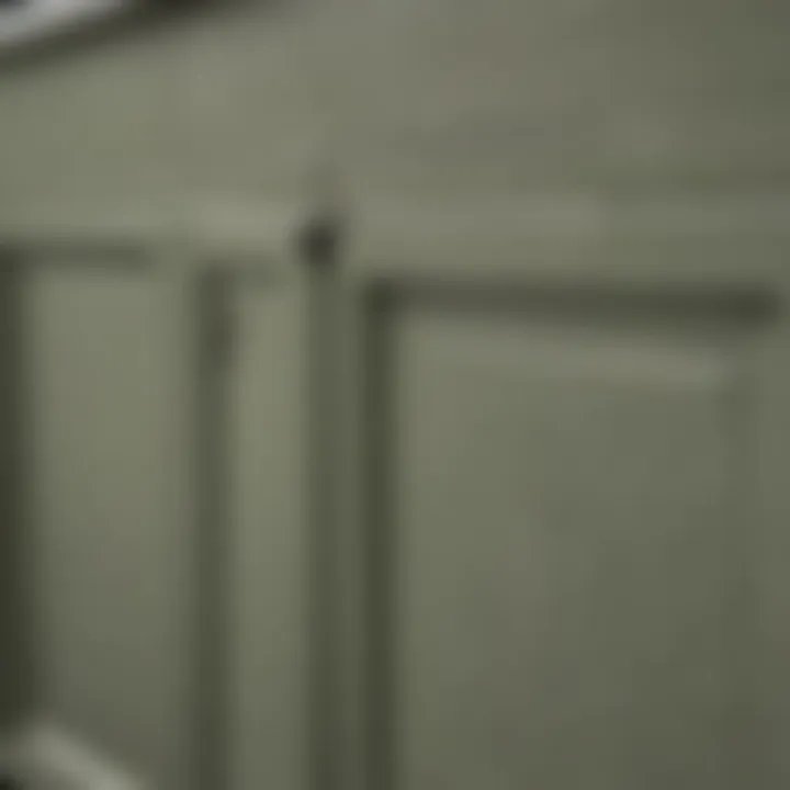 Close-up of sage green cabinet finish showcasing texture