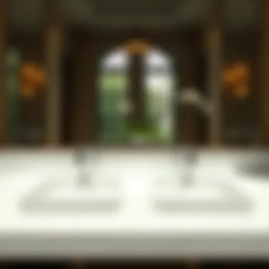 Elegant double sink setup with marble countertop and sophisticated lighting