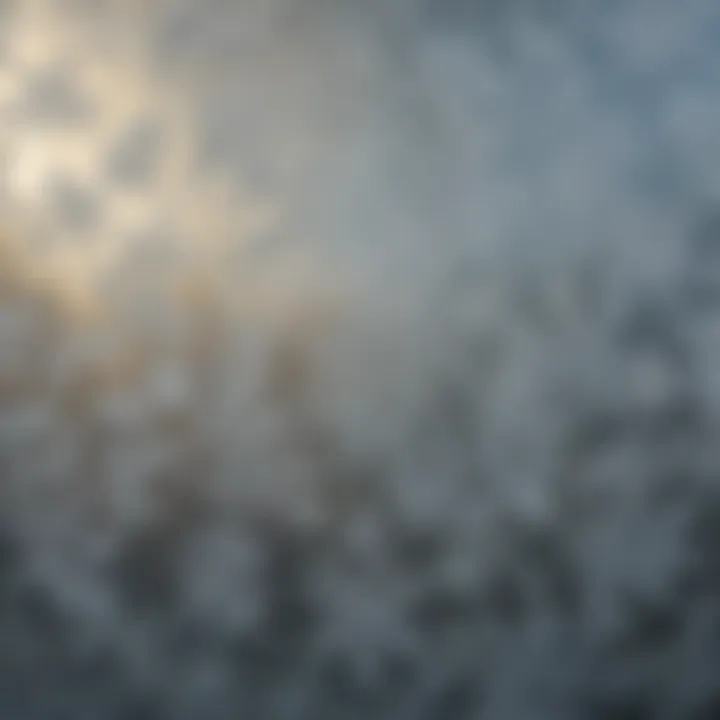 Intricate Frost Patterns on Glass Close-up of intricate frost patterns on bathroom glass