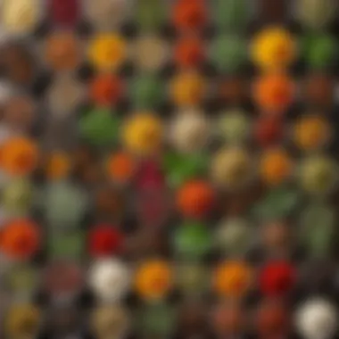 Exquisite Selection of Herbs and Spices for Dehydration Variety of herbs and spices laid out for dehydration