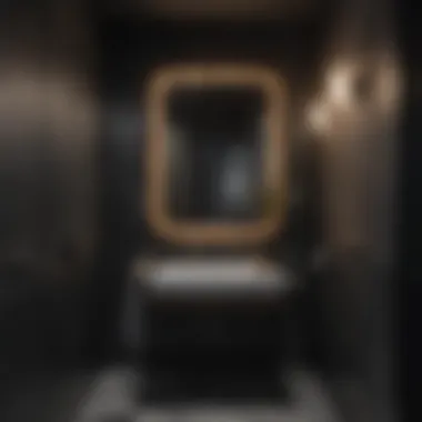 Modern Aesthetic of Black Bathroom Stalls Elegant black bathroom stall design showcasing modern aesthetics