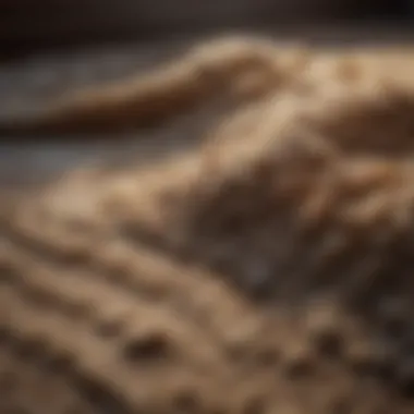 Close-up of rug fibers showcasing quality and comfort