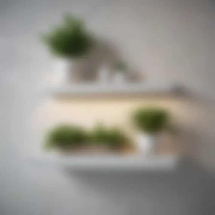 Minimalist floating shelves with green plants