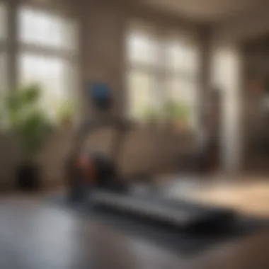 A Spectrum of Unique Fitness Tools on the Market Diverse fitness equipment lineup