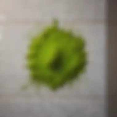 Green Mold Development on Bathroom Wall Green mold on damp bathroom wall