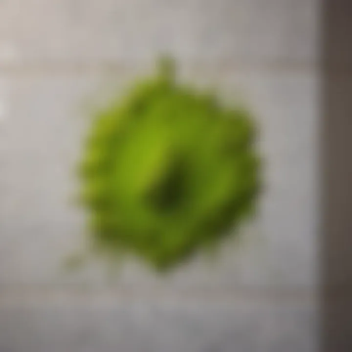 Green Mold Development on Bathroom Wall Green mold on damp bathroom wall