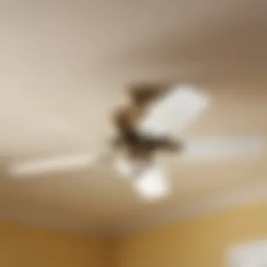 Removing the Fan Blade Fan Blade Removal for Replacement