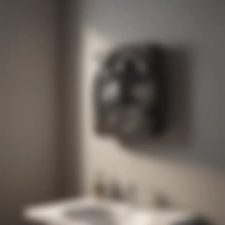 Illustration of fan light combo features