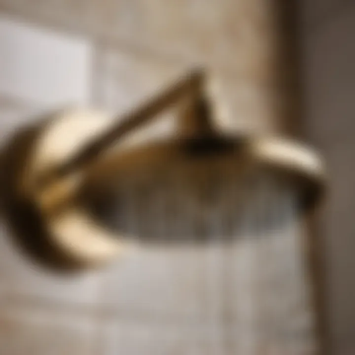 Vintage Brass Shower Fixtures