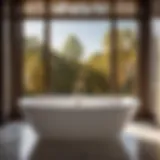 Luxurious Ferguson Bath Tub in Modern Setting