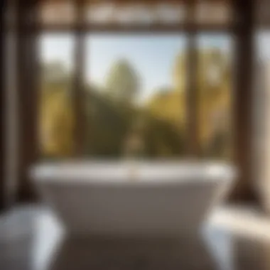 Elegance Redefined: Ferguson Bath Tub in Modern Setting Luxurious Ferguson Bath Tub in Modern Setting