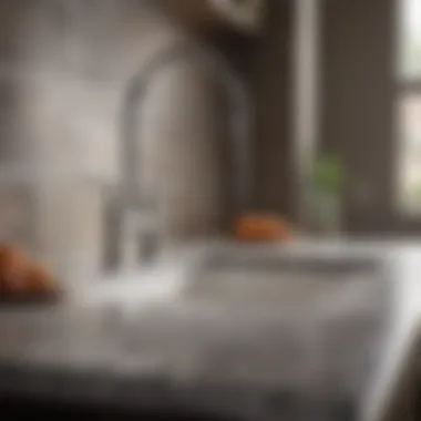 Stylish Kitchen Faucet