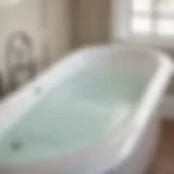 Premium Fiberglass Bathtub Cleaner Fiberglass Bathtub Cleaning Solution