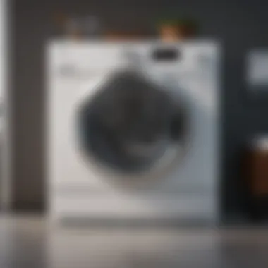 Modern high-tech laundry dryer