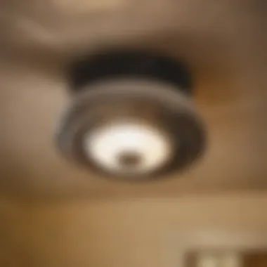 Motor Inspection and Repair A close-up of a bathroom exhaust fan motor