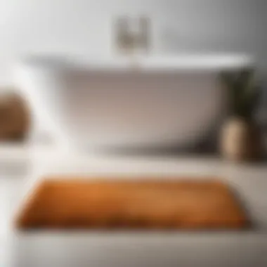 Contemporary Chic in Minimalist Fringe Design Minimalist Fringe Bath Rug