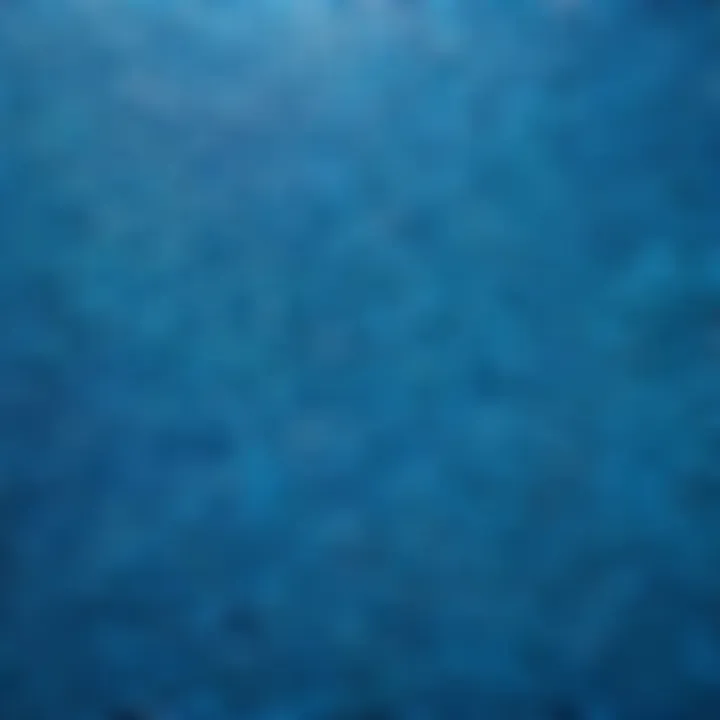 Soothing Blue Fish Scale Tiles Fish scale tiles in shades of blue creating a stunning effect