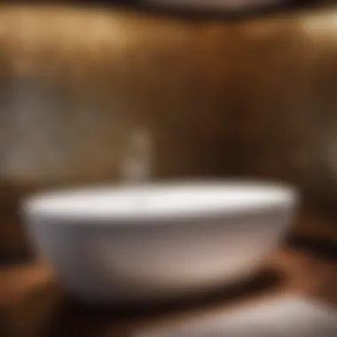 Innovative Functionality Functional Features of Carson Acrylx Bathtubs