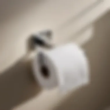 Modern Moen Genta Toilet Paper Holder Installation