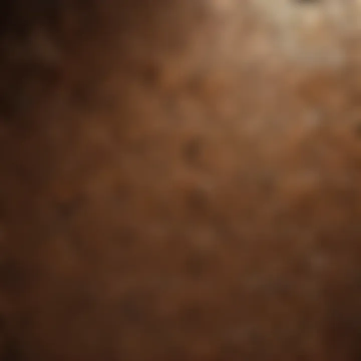 Modern Geometric Pattern Border Tile Inspiration Geometric Patterned Border Tile