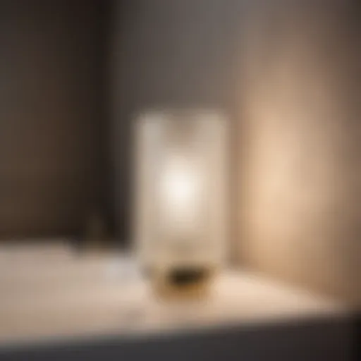 Elegant Glass Light Shade in Modern Bathroom Decor