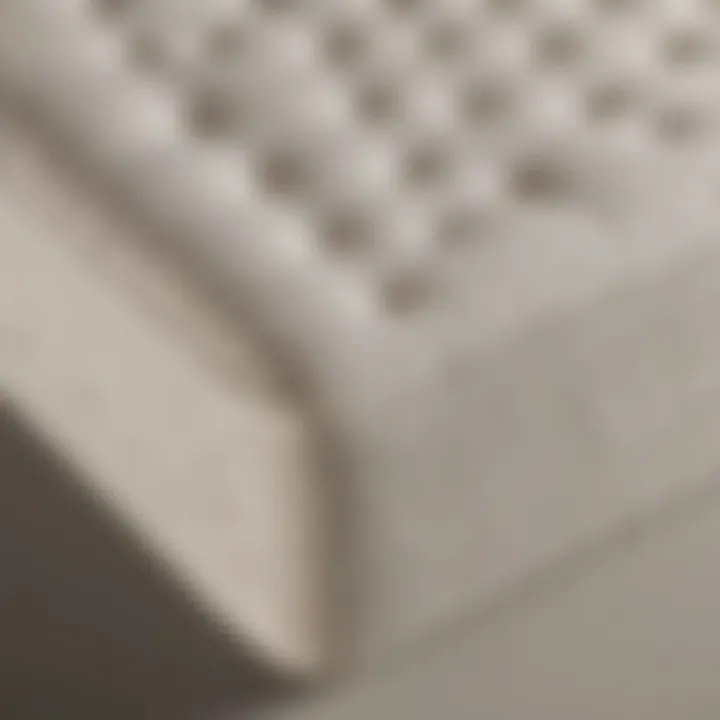 Design Features of Graco Foam Crib Mattress Detailed view of Graco foam crib mattress showcasing its design.