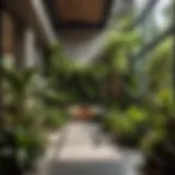 Aerial view of a variety of lush indoor plants in a modern setting